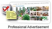 Property Listings are optimized for Travelers and Search Engines