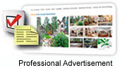 Property Listings are optimized for Travelers and Search Engines Property Listings are optimized for Travelers and Search Engines